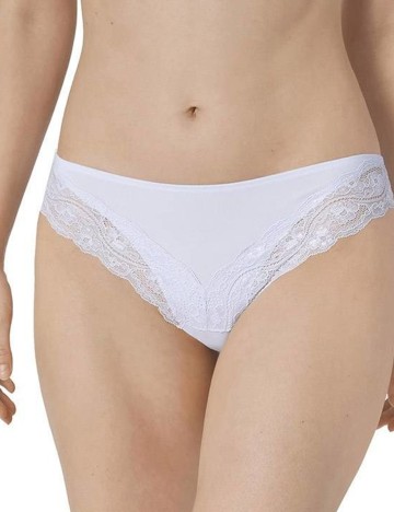 Chilot Triumph, lila