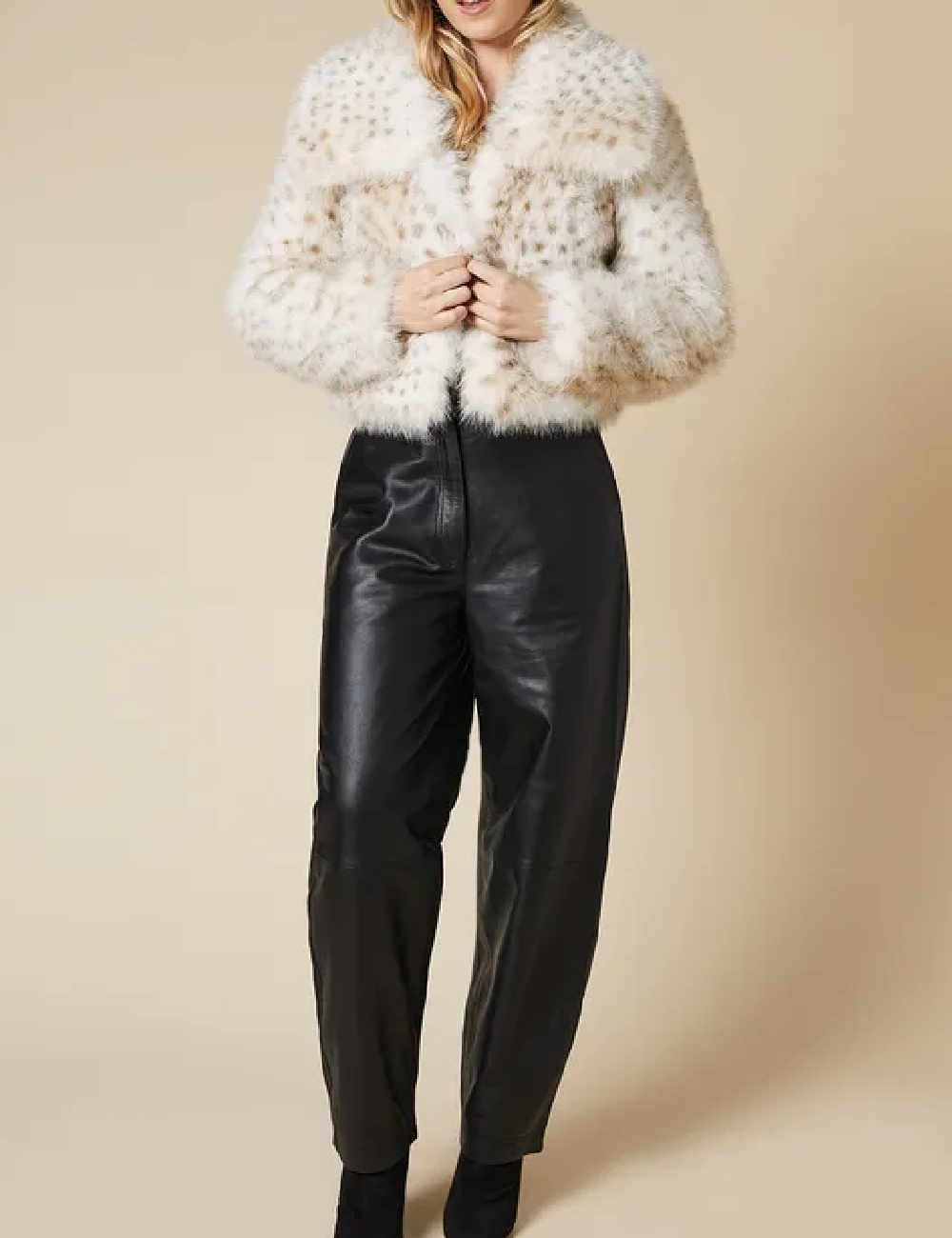Jacheta Dorothy Perkins, crem
