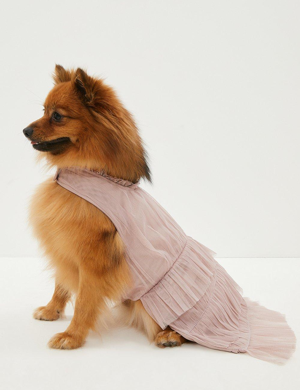 Haina pentru caini Coast, roz pudra