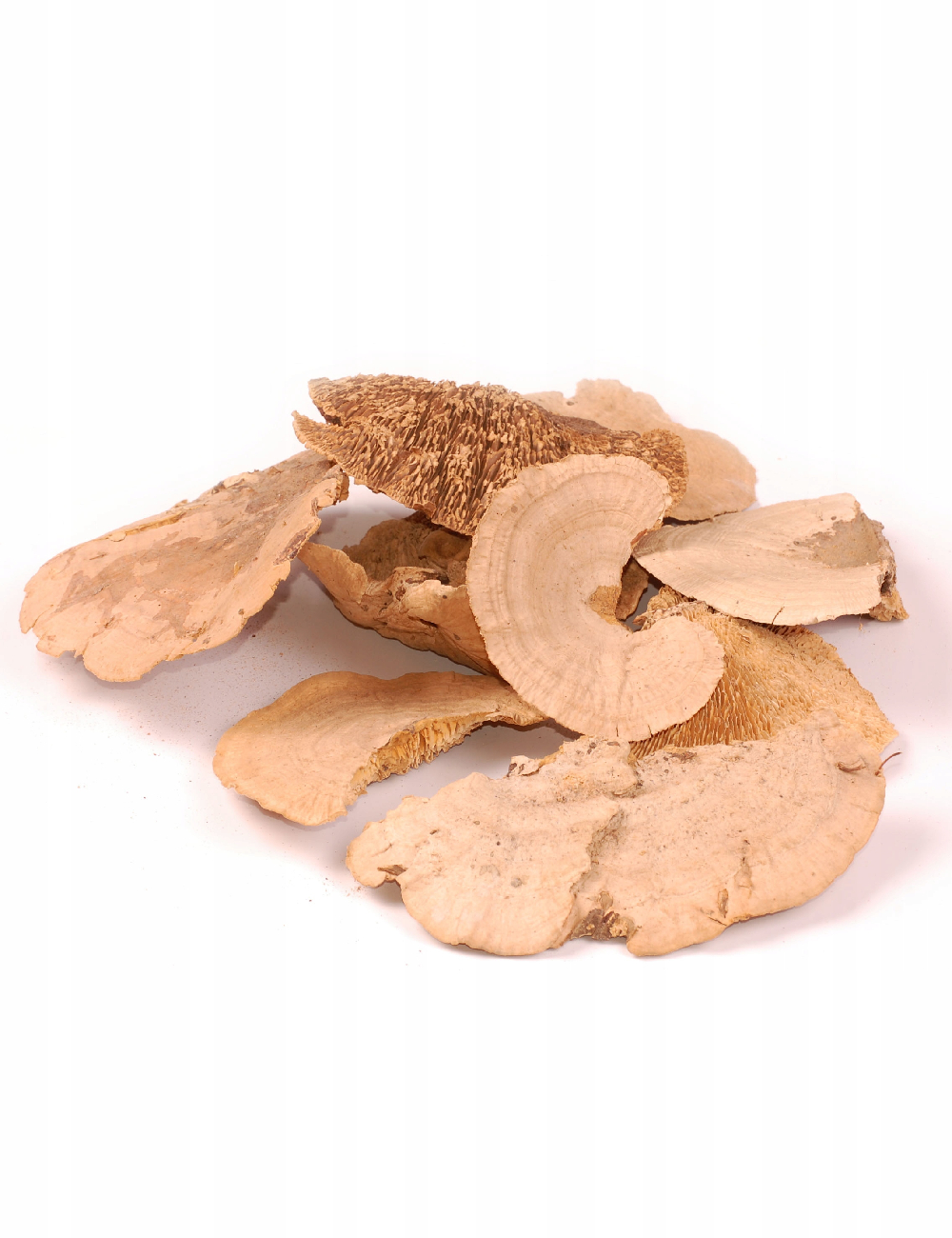 Mix ciuperci uscate decorative 100 g Home Accents, maro