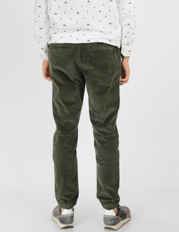 Pantaloni s.Oliver, verde, W31/L32