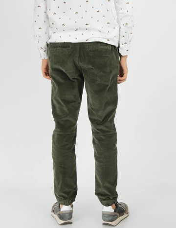 Pantaloni s.Oliver, verde, W31/L32 Verde