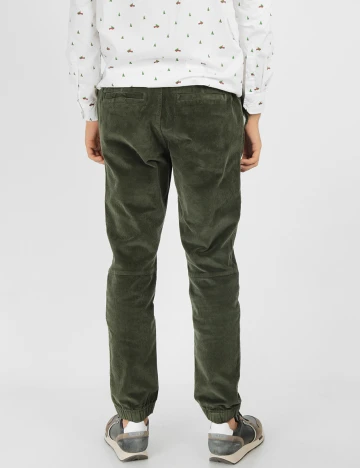 Pantaloni s.Oliver, verde, W31/L32