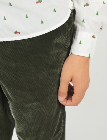 Pantaloni s.Oliver, verde, W31/L32