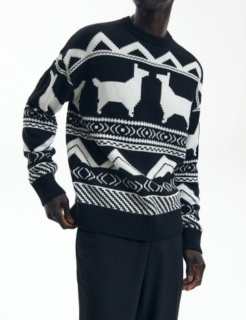 
						Pulover Reserved, negru/alb