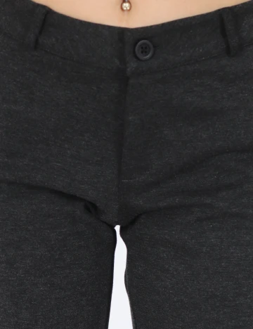 Pantaloni Dranella, gri