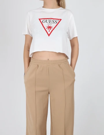 Top Guess, alb