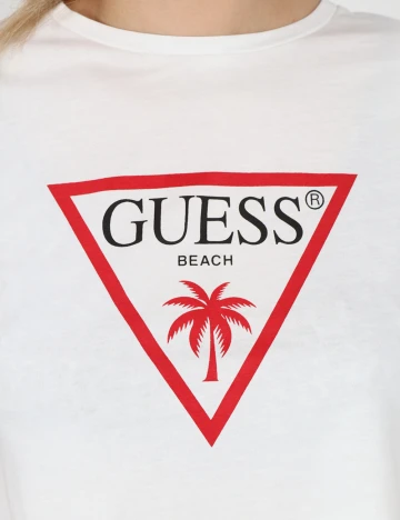Top Guess, alb