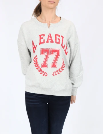 Bluza Oversize American Eagle, gri Gri