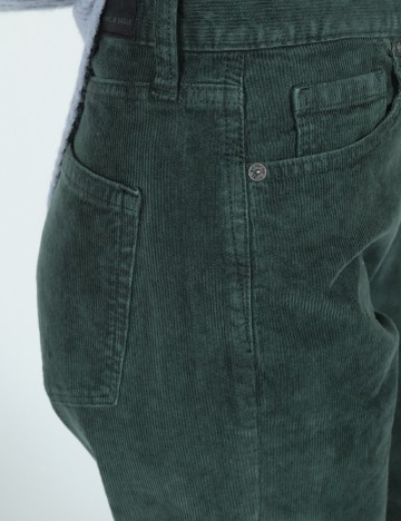 Pantaloni American Eagle, verde
