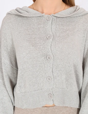 Cardigan Dazy, gri Gri