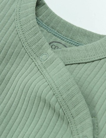 Body Cool Club, verde