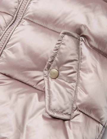 Vesta Cool Club, roz Roz