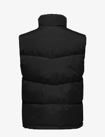 Vesta Only, negru