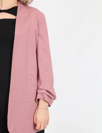 Blazer Only, roz