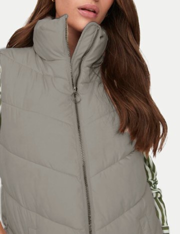 Vesta Jacqueline de Yong, gri