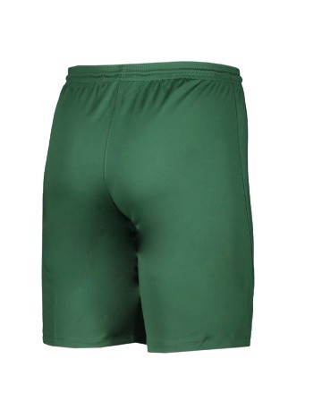 Pantaloni scurti Nike, verde