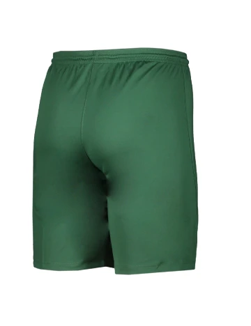 Pantaloni scurti Nike, verde Verde