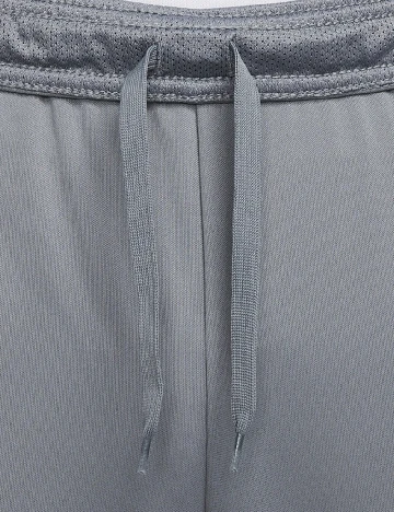 Pantaloni Nike, gri