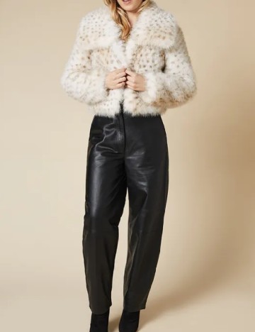 Jacheta Dorothy Perkins, crem