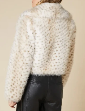 Jacheta Dorothy Perkins, crem