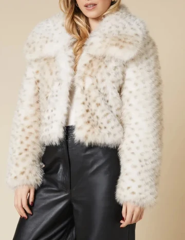 Jacheta Dorothy Perkins, crem