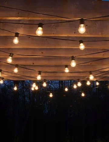 Instalatie Zd Trading, transparent