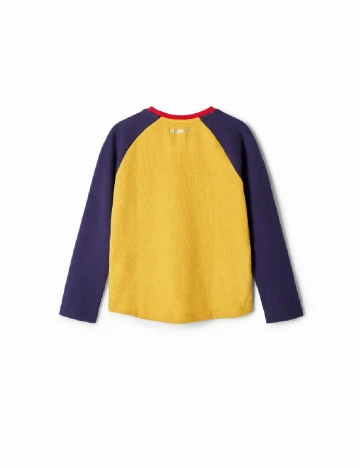 Bluza Desigual, mix culori Mix culori