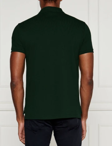 Tricou Polo Ralph Lauren, verde Verde