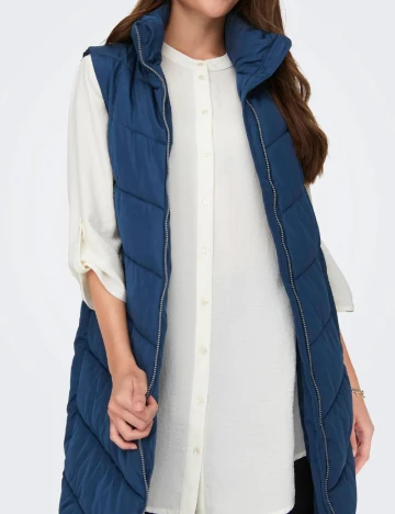 Vesta Jacqueline de Yong, albastru Albastru