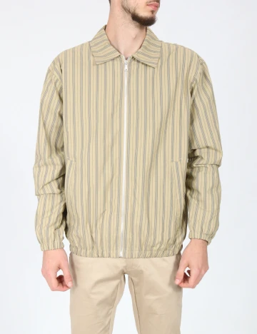 Jacheta Zara, verde Verde