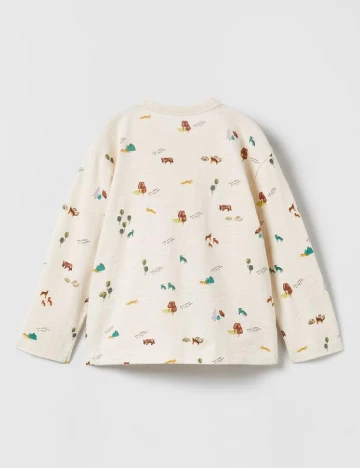 Bluza Zara, crem Crem