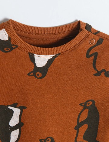 Bluza Cool Club, maro