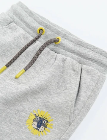 Pantaloni Cool Club, gri Gri