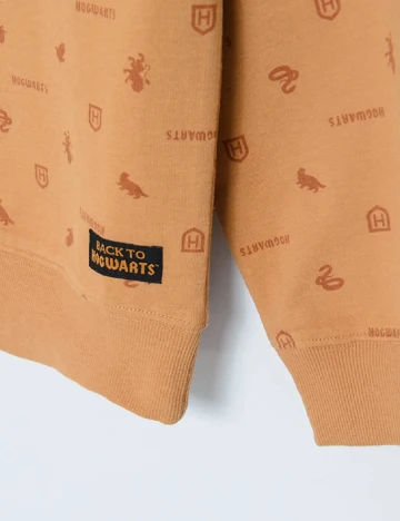 Bluza Cool Club, maro Maro