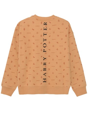 Bluza Cool Club, maro