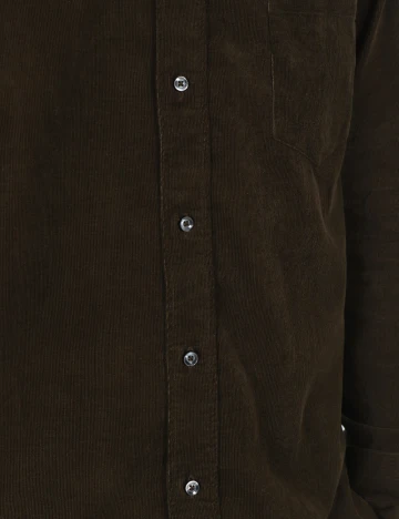 Camasa Zara, verde Verde