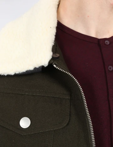 Jacheta Zara, verde Verde