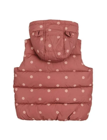 Vesta Cool Club, roz Roz