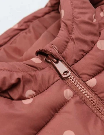 Vesta Cool Club, roz Roz