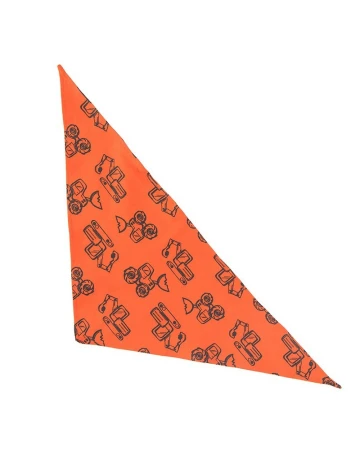 Set caciula si bandana Cool Club, portocaliu Portocaliu