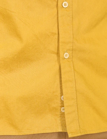 Camasa Zara, mustar Galben
