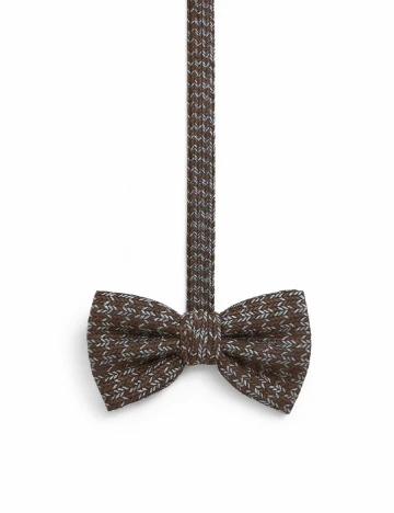 Papion Zara, mix culori Mix culori