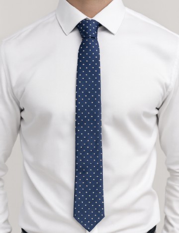 
						Cravata Zara, bleumarin/alb