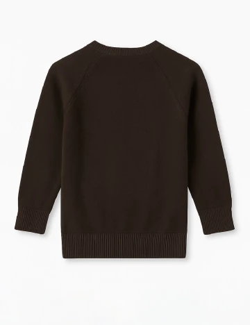 Bluza Zara, maro inchis