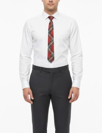 
						Cravata Zara, mix culori