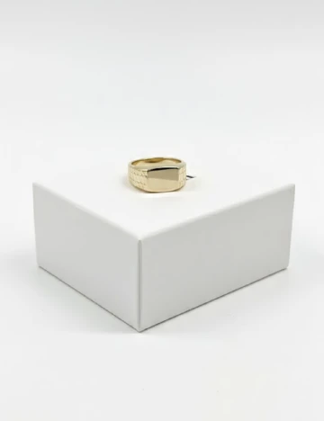 Accesoriu Zara, auriu