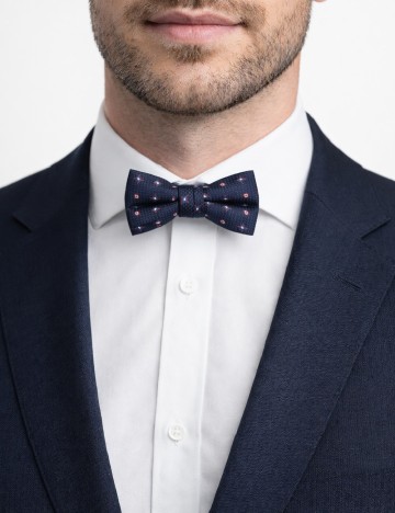 
						Papion Zara, bleumarin