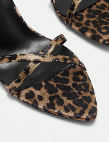 Saboti Cuccoo, animal print